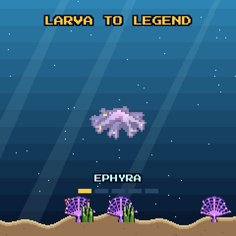 A jellyfish evolving from ephyra