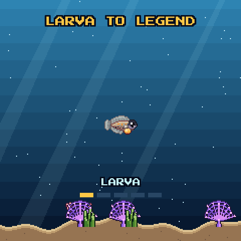 A fish evolving from larva to goldfish